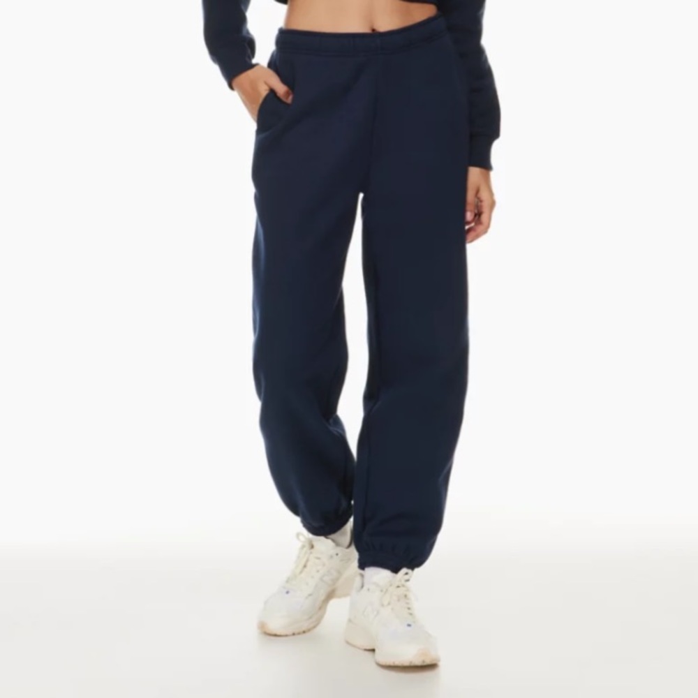 ARITZIA TNA COZY MEGA SWEATPANTS